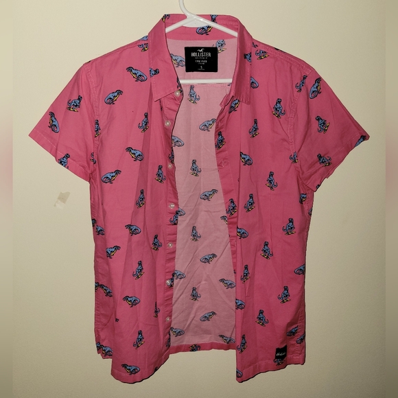 Hollister - Picture 1 of 6